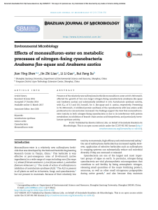 Effects of monosulfuron-ester on metabolic processes of nitrogen