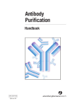 Antibody purification handbook
