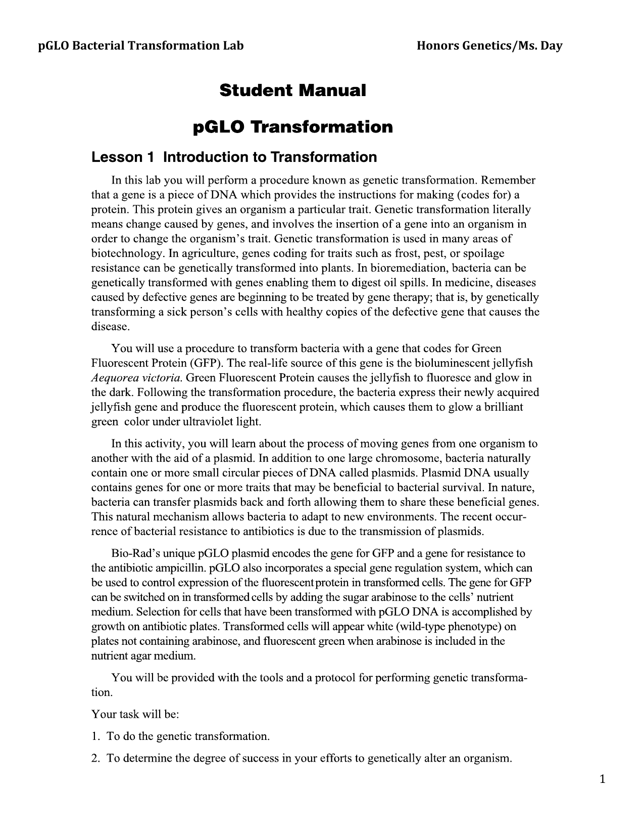 Transformation lab report image