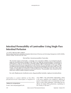 Intestinal Permeability of Lamivudine Using Single Pass Intestinal