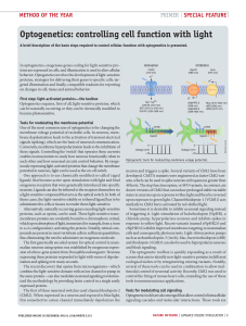 Optogenetics: controlling cell function with light