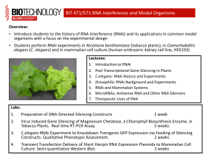 BIT 471/571:RNA Interference and Model Organisms