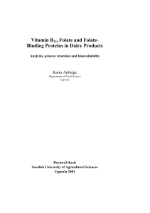 Vitamin B12, Folate and Folate- Binding Proteins in Dairy Products