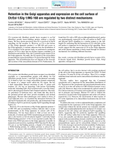 Retention in the Golgi apparatus and expression on the cell surface