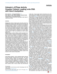 Cohesin`s ATPase Activity Couples Cohesin Loading