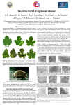 The virus world of fig mosaic disease
