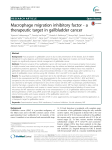 Macrophage migration inhibitory factor