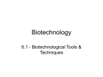 Biotechnological Tools and Techniques