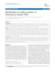 Identification of surface proteins in Enterococcus - UiO