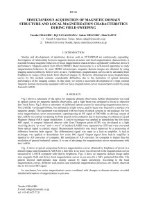 simultaneous acquisition of magnetic domain structure and