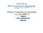 RNA Processing in Eukaryotes