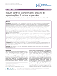 RabGDI controls axonal midline crossing by regulating Robo1