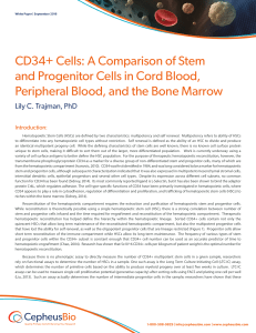 CD34+ Cells: A Comparison of Stem and Progenitor