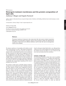 Detergent-resistant membranes and the protein