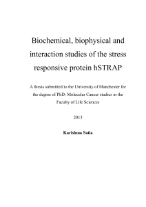 Biochemical, biophysical and interaction studies of the stress