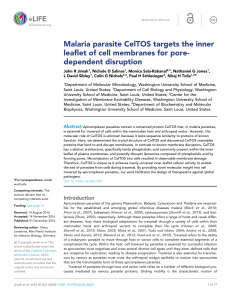 Malaria parasite CelTOS targets the inner leaflet of cell membranes