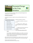 Perennial Forage in the Crop Rotation