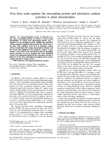 Free fatty acids regulate the uncoupling protein and alternative