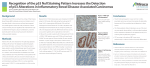 Figure 1. Wild-type staining pattern. The tumor cell nuclei show