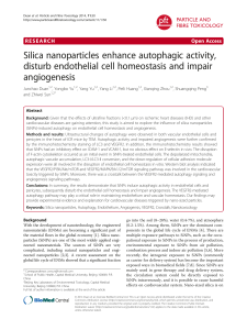 Silica nanoparticles enhance autophagic activity, disturb endothelial