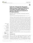 Galectin-3 Negatively Regulates Hippocampus