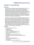 Activity 5.1.4: Gram Staining Introduction