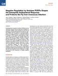 Negative Regulation by Amidase PGRPs Shapes the