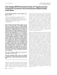 The Single ENTH-Domain Protein of Trypanosomes