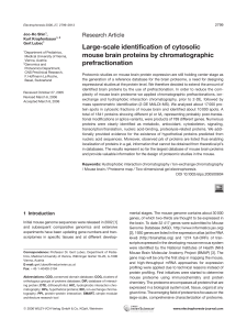 Large-scale identification of cytosolic mouse brain proteins by