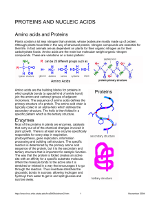 proteins and nucleic acids