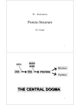 THE CENTRAL DOGMA THE CENTRAL DOGMA