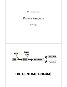 THE CENTRAL DOGMA THE CENTRAL DOGMA