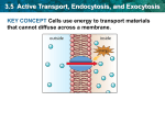 3.5 Active Transport, Endocytosis, and Exocytosis