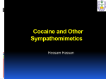 Cocaine and Other Sympathomimetics