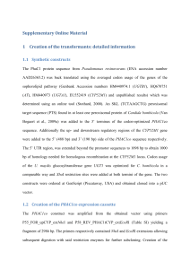 Table SI. Primers used for creation of the PHAC1co and