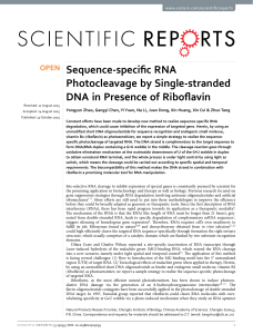 Sequence-specific RNA Photocleavage by Single