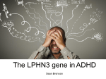 Identify domains in LPHN3 crucial to synaptic density.