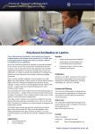 Polyclonal Antibodies to Lamins - Edinburgh Research and Innovation