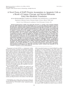 A Novel Form of DAP5 Protein Accumulates in Apoptotic Cells as a