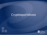 Cryptosporidiosis - The Center for Food Security and Public Health