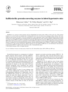 Kallikrein-like prorenin-converting enzymes in inbred