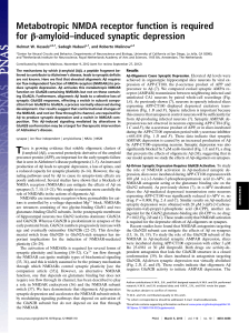 Metabotropic NMDA receptor function is required for β