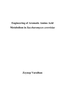 Engineering of Aromatic Amino Acid Metabolism in