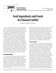Feed Ingredients and Feeds for Channel Catfish