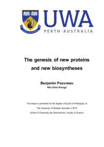 The genesis of new proteins and new