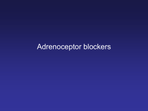 07 Adrenoceptor-antagonist