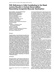 FAK Deficiency in Cells Contributing to the Basal Lamina Results in