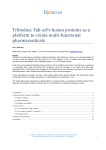 Tribodies: Fab-scFv fusion proteins as a platform to