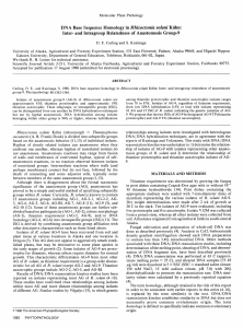 DNA Base Sequence Homology in Rhizoctonia solani Kuihn: Inter