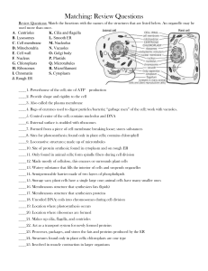 Matching Cell Parts WS File